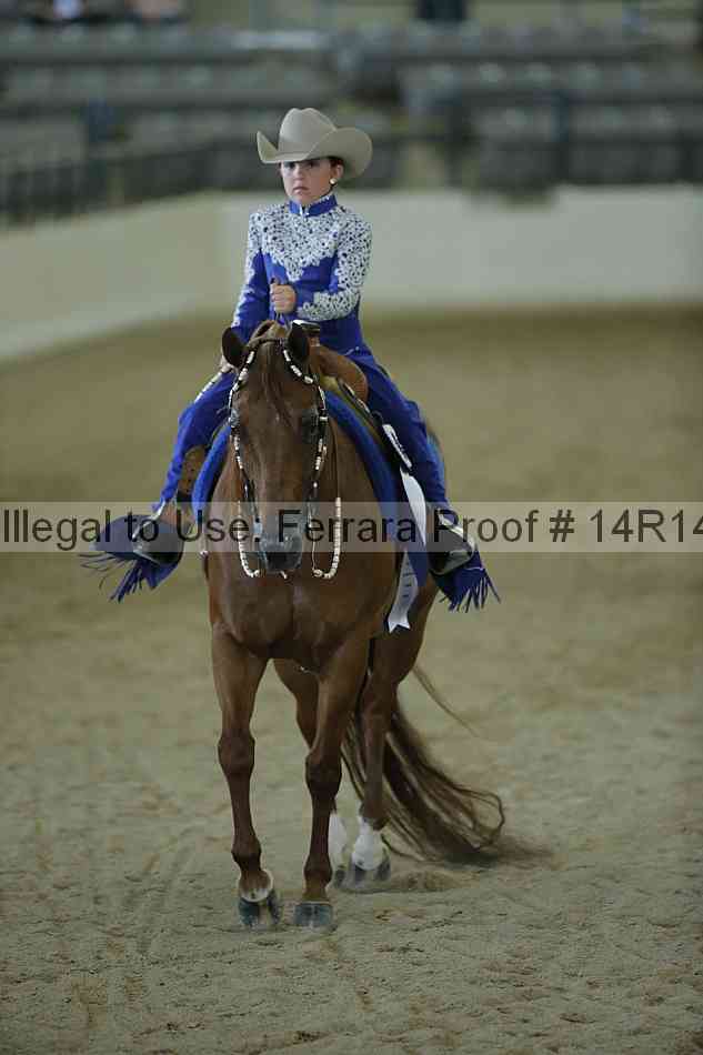 Proof Number 14r14_0775