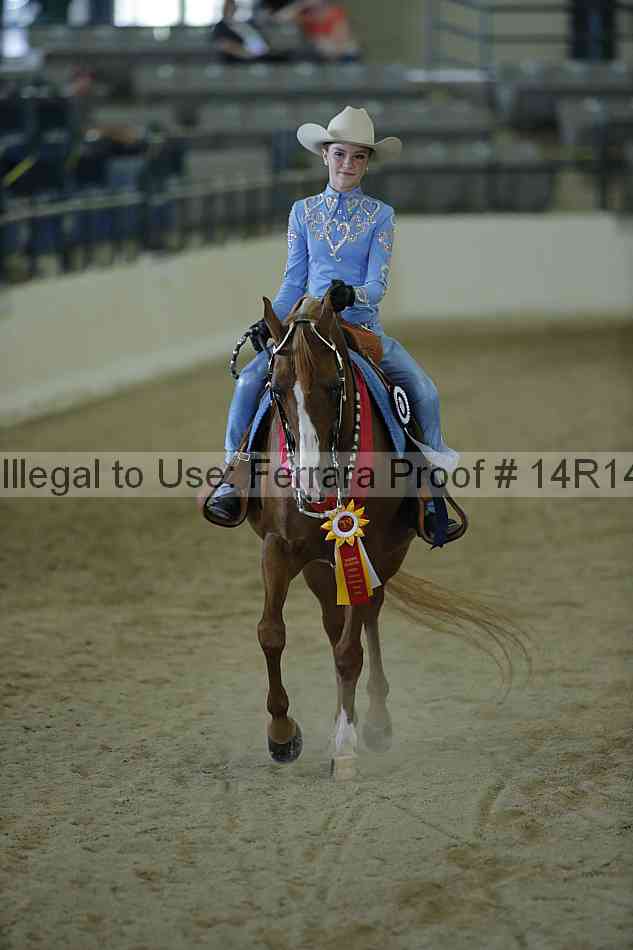 Proof Number 14r14_0777