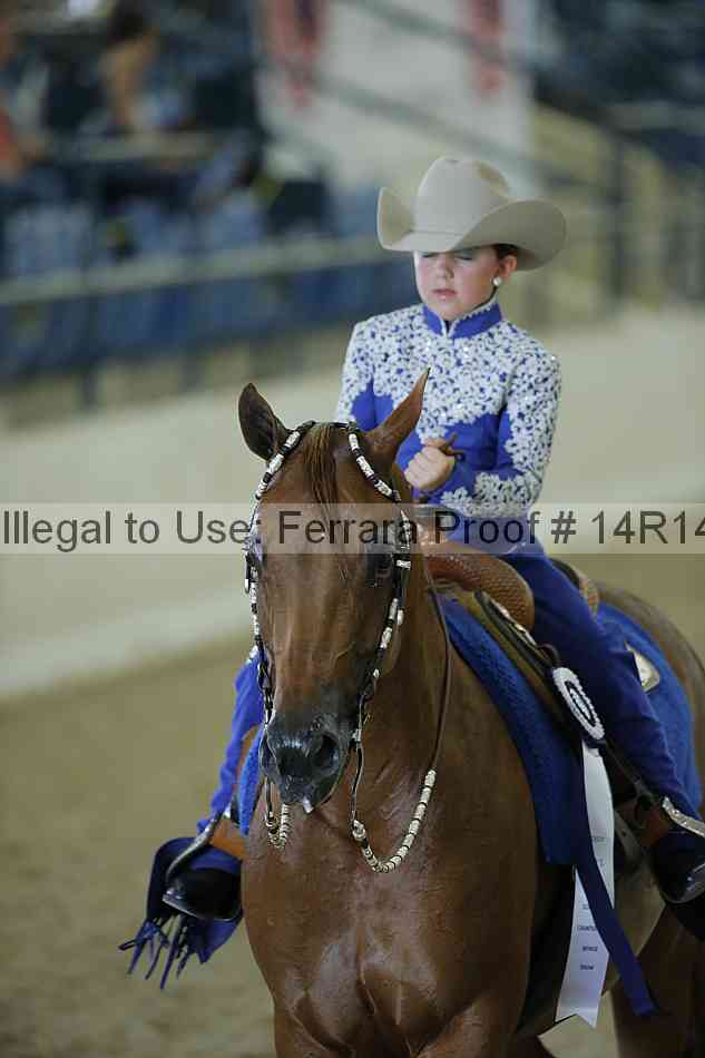 Proof Number 14r14_0778