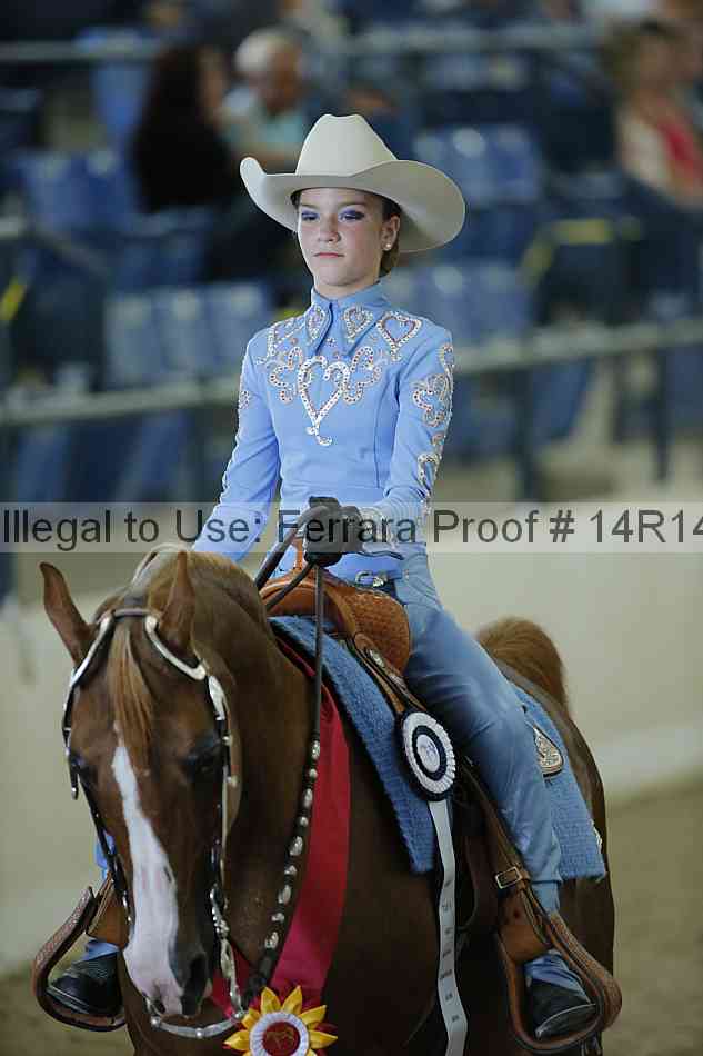 Proof Number 14r14_0779