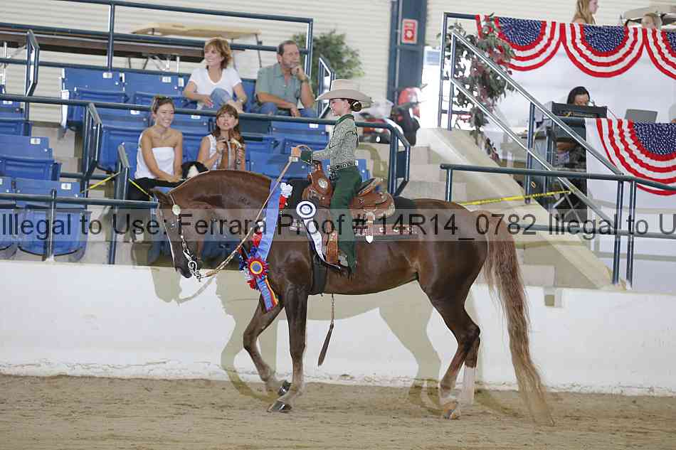 Proof Number 14r14_0782