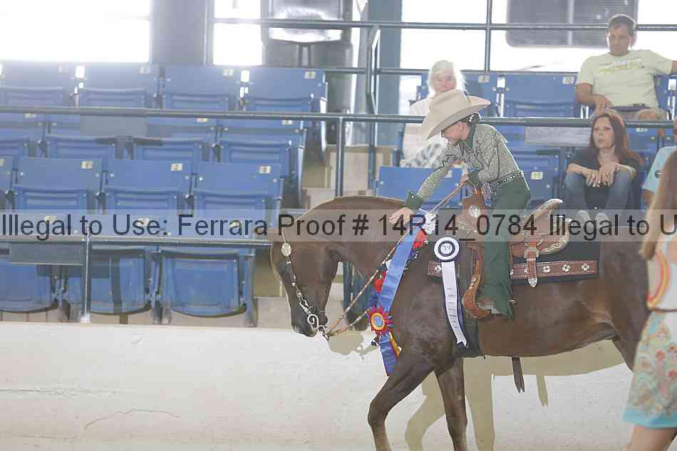 Proof Number 14r14_0784