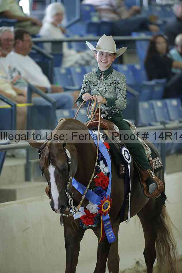 Proof Number 14r14_0788