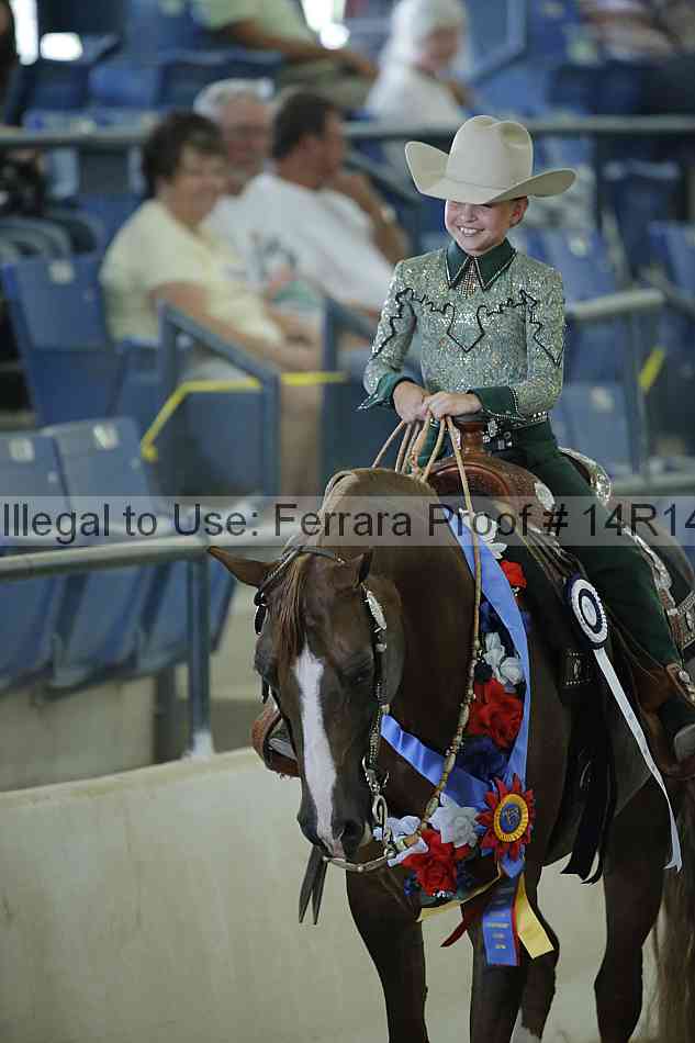 Proof Number 14r14_0789
