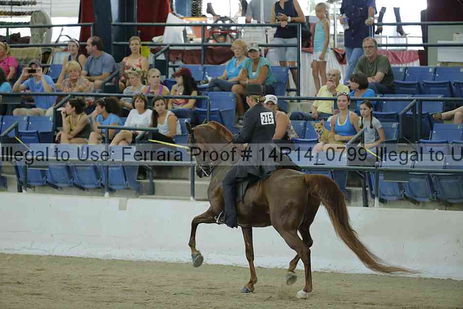 Proof Number 14r14_0799