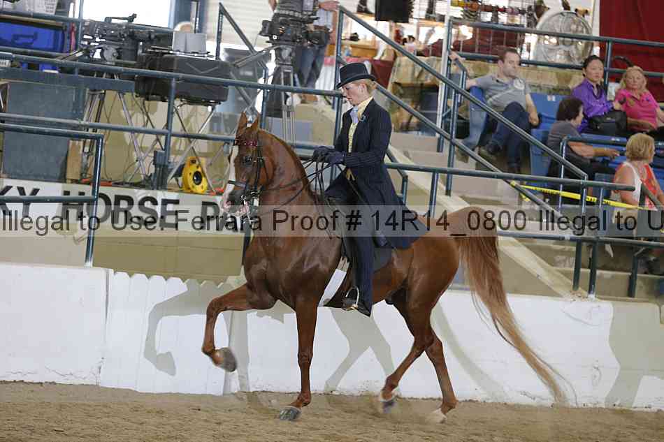 Proof Number 14r14_0800