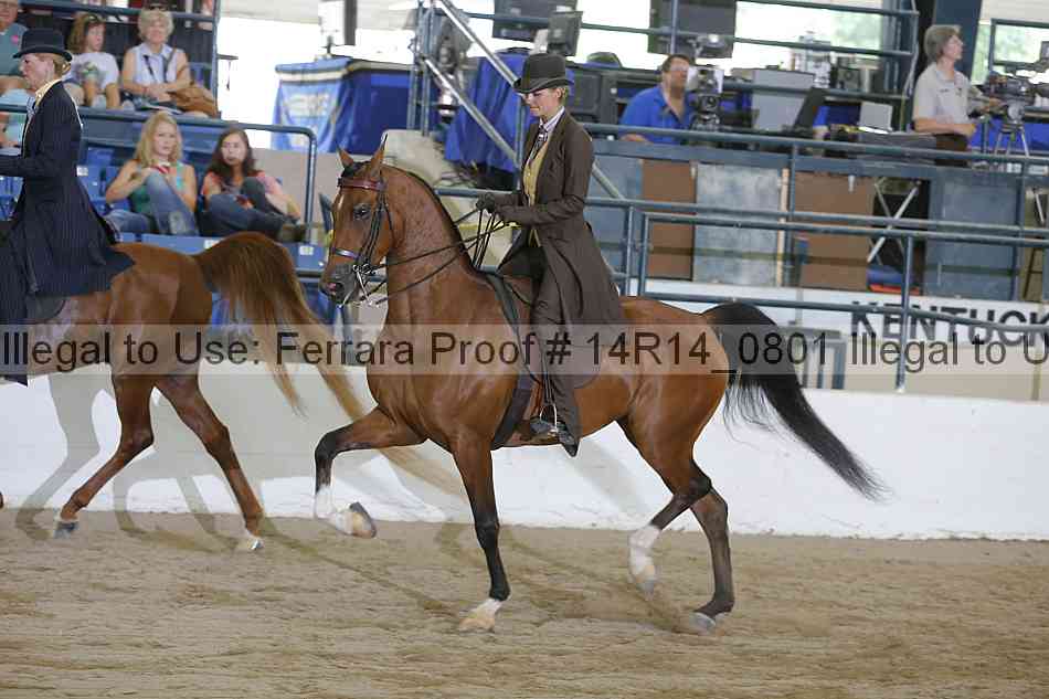 Proof Number 14r14_0801