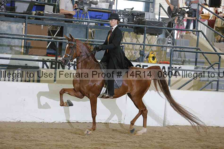 Proof Number 14r14_0804
