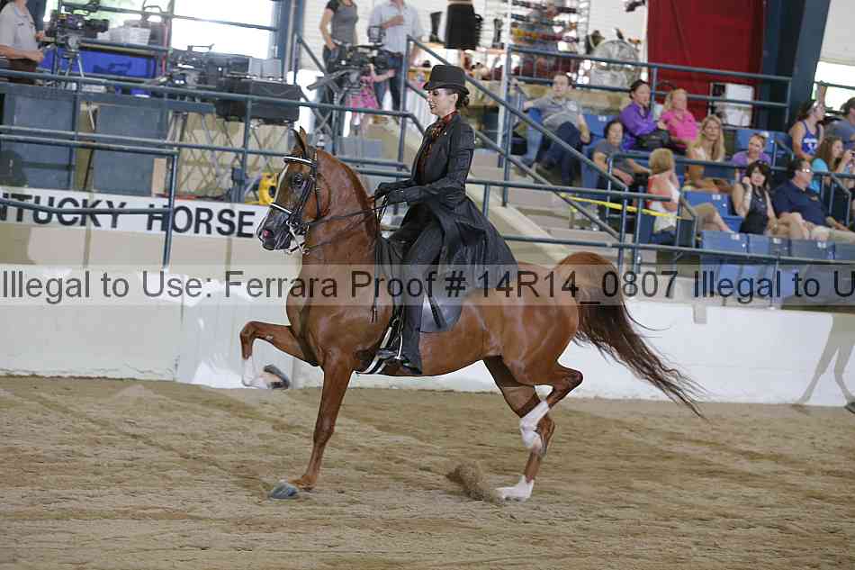 Proof Number 14r14_0807