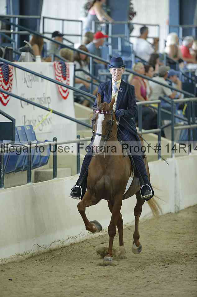 Proof Number 14r14_0813