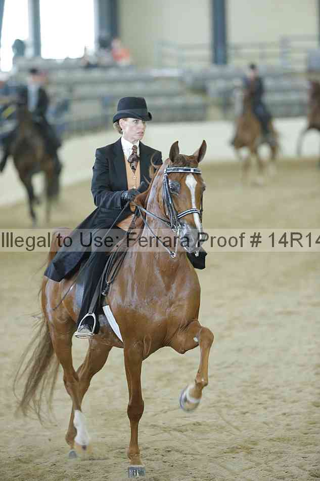 Proof Number 14r14_0814