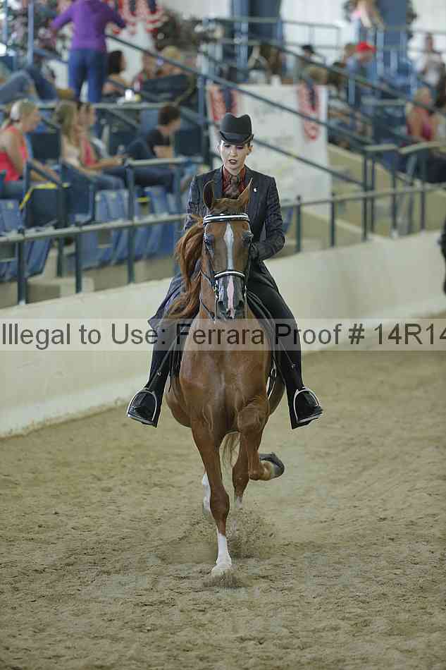 Proof Number 14r14_0818