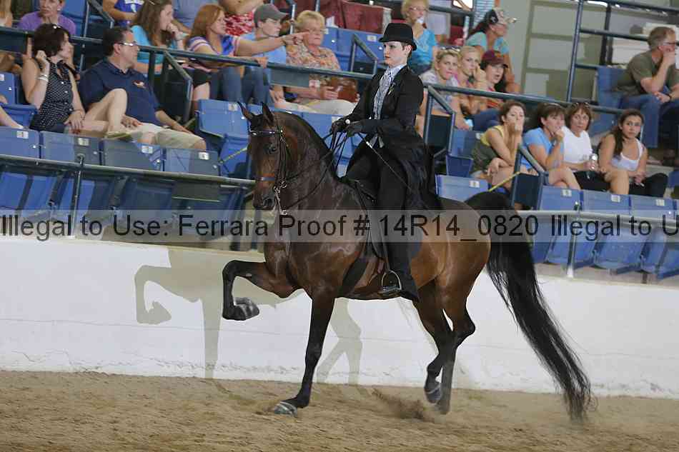 Proof Number 14r14_0820