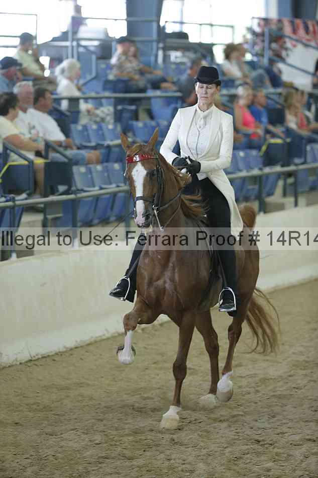 Proof Number 14r14_0823
