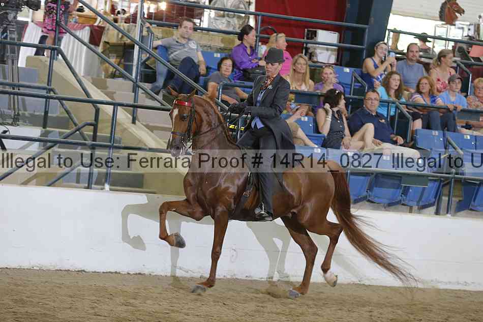 Proof Number 14r14_0827