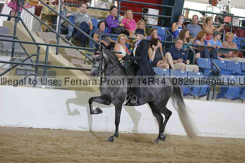 Proof Number 14r14_0829