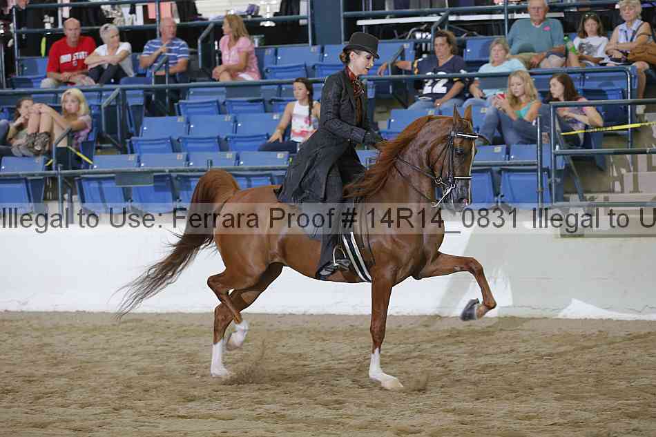Proof Number 14r14_0831