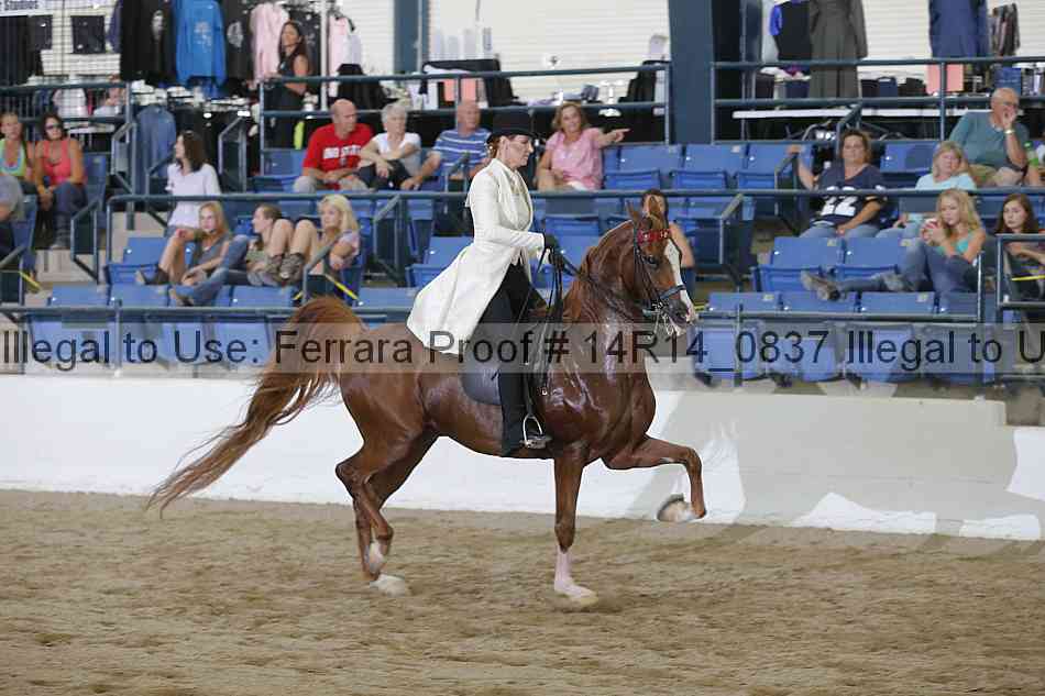 Proof Number 14r14_0837