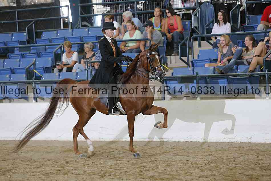 Proof Number 14r14_0838