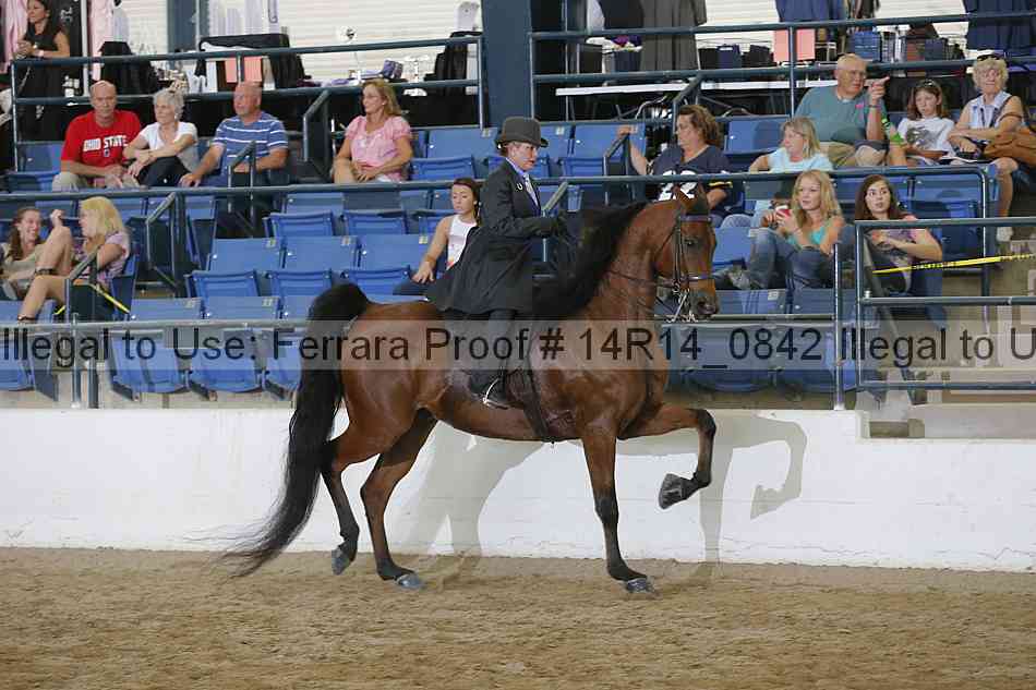 Proof Number 14r14_0842