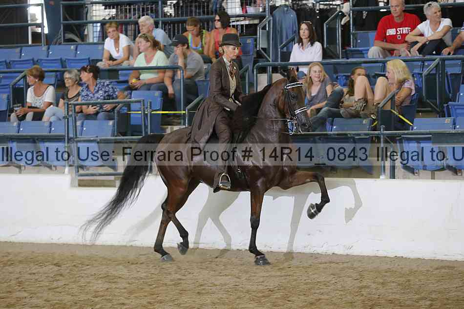 Proof Number 14r14_0843
