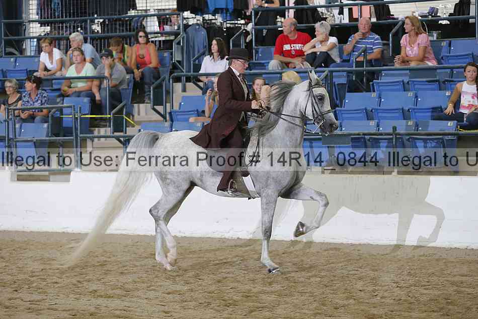 Proof Number 14r14_0844