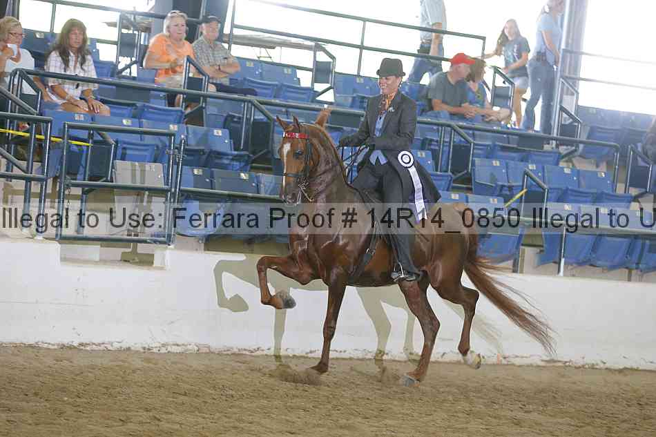 Proof Number 14r14_0850