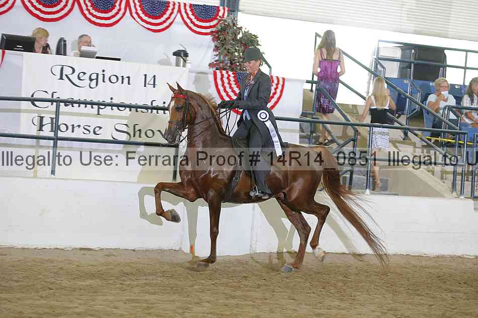 Proof Number 14r14_0851