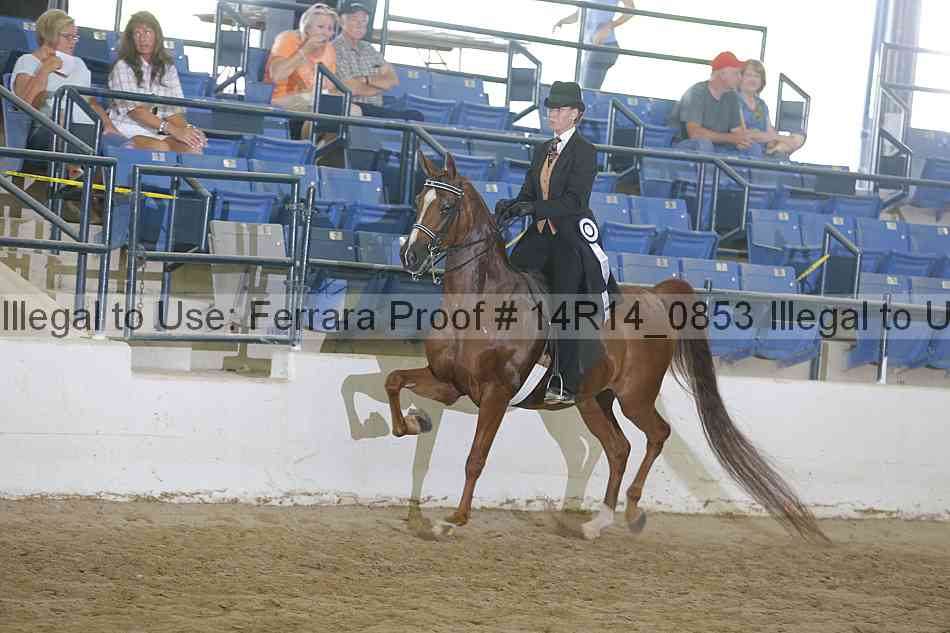 Proof Number 14r14_0853