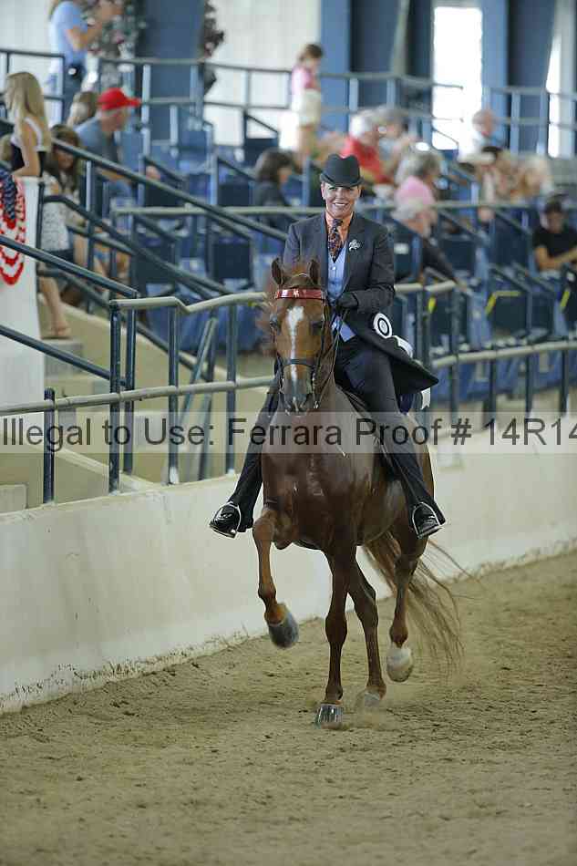 Proof Number 14r14_0854