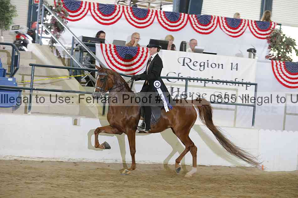 Proof Number 14r14_0855