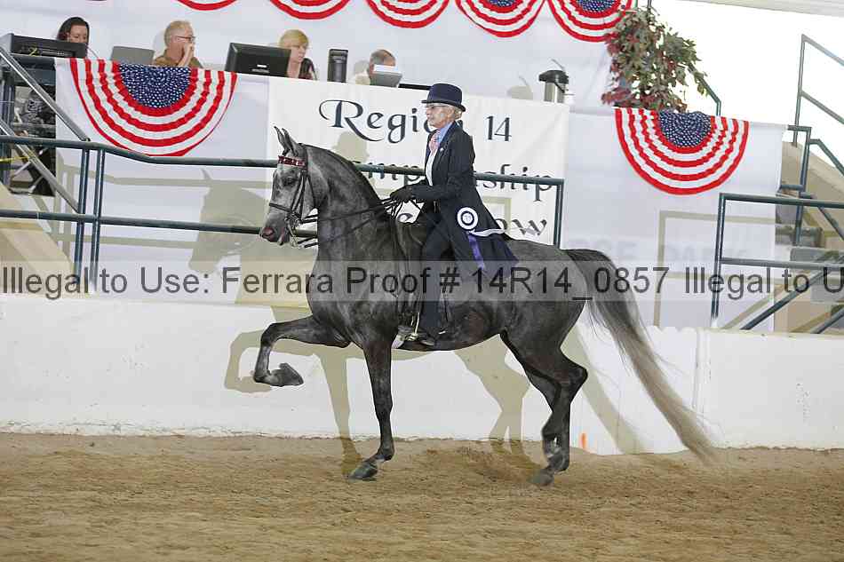 Proof Number 14r14_0857
