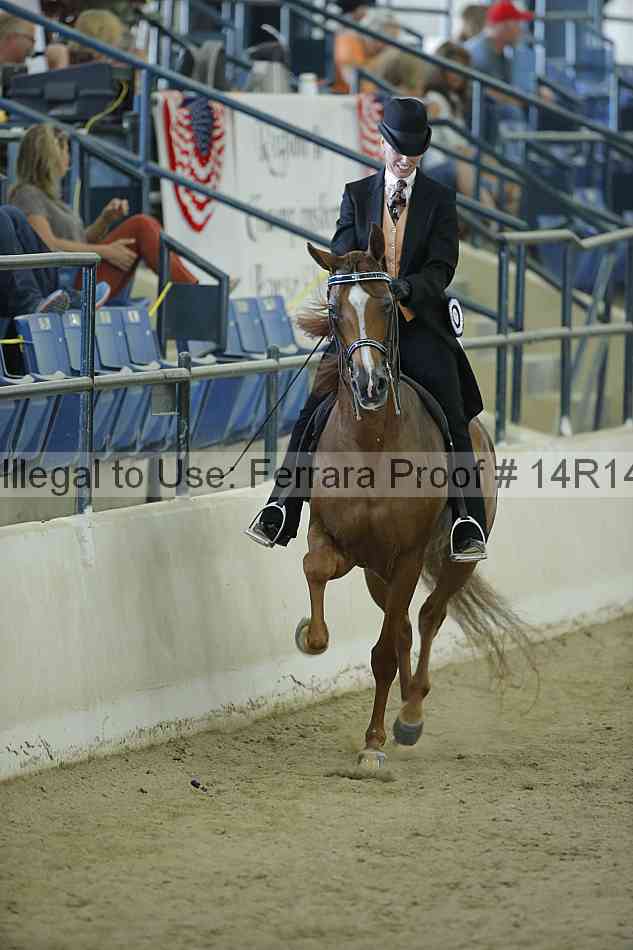 Proof Number 14r14_0858