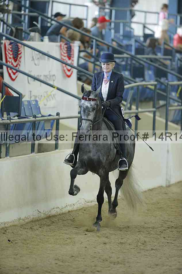 Proof Number 14r14_0859