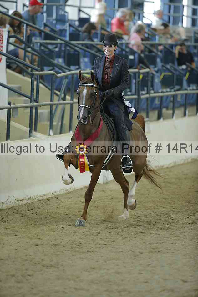 Proof Number 14r14_0861