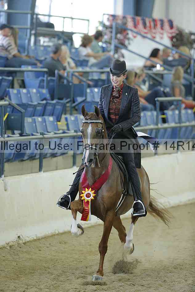 Proof Number 14r14_0863