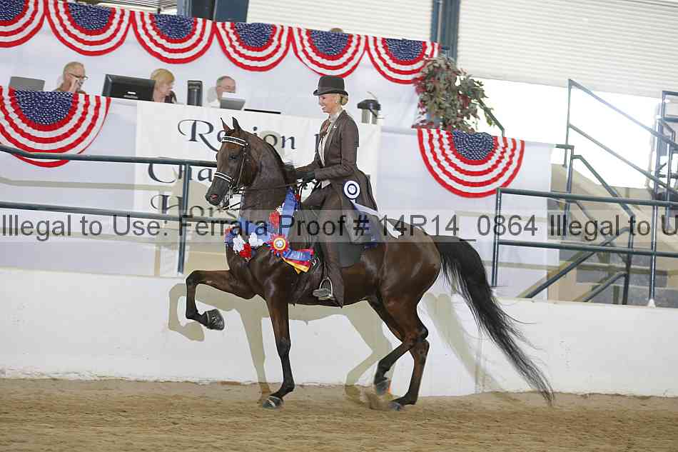 Proof Number 14r14_0864