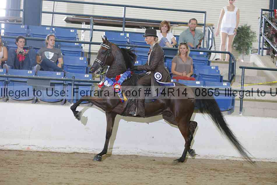 Proof Number 14r14_0865
