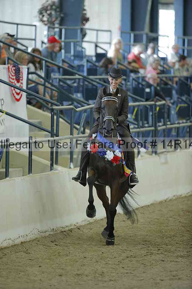 Proof Number 14r14_0866
