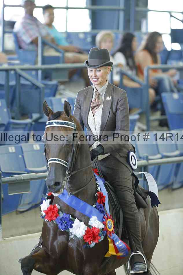 Proof Number 14r14_0867