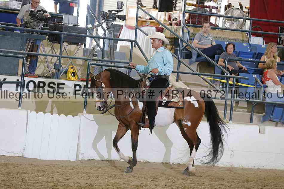 Proof Number 14r14_0872