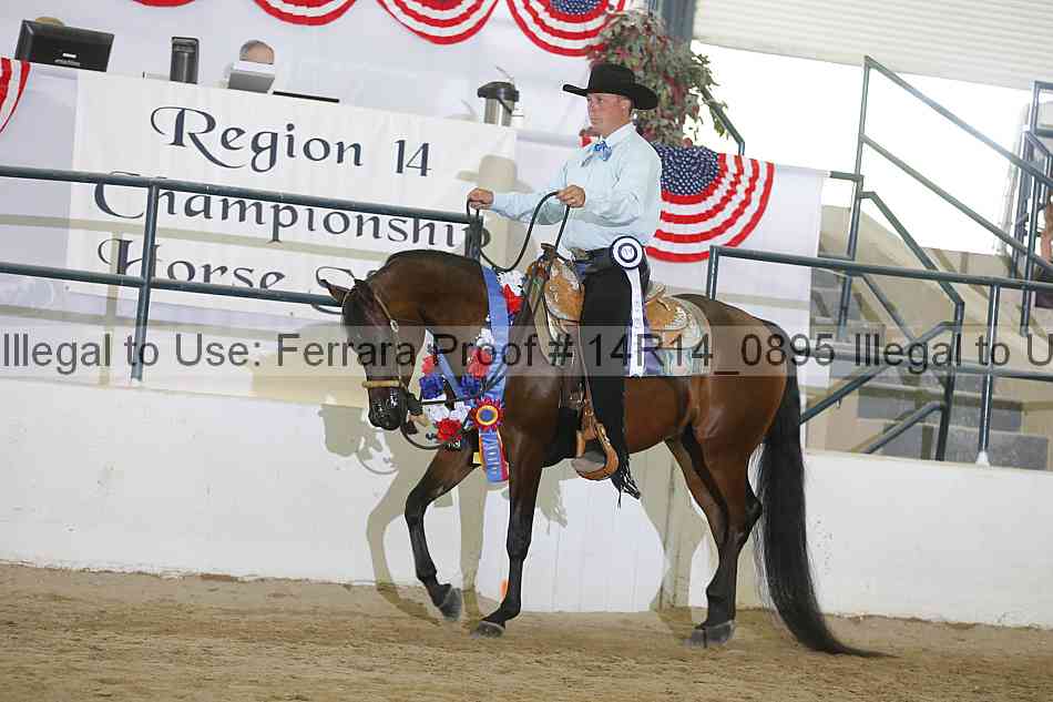 Proof Number 14r14_0895