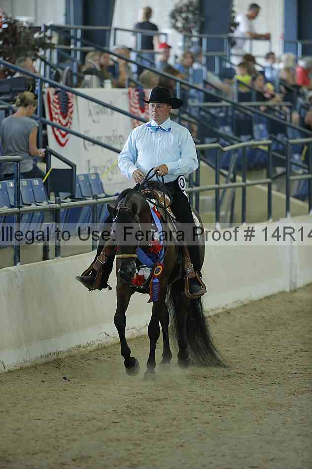Proof Number 14r14_0900
