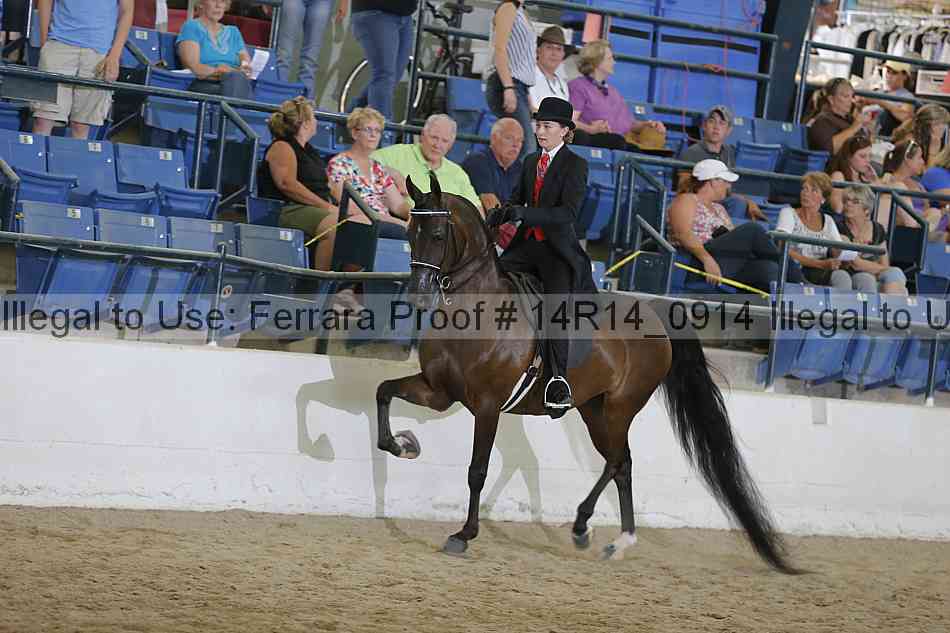 Proof Number 14r14_0914