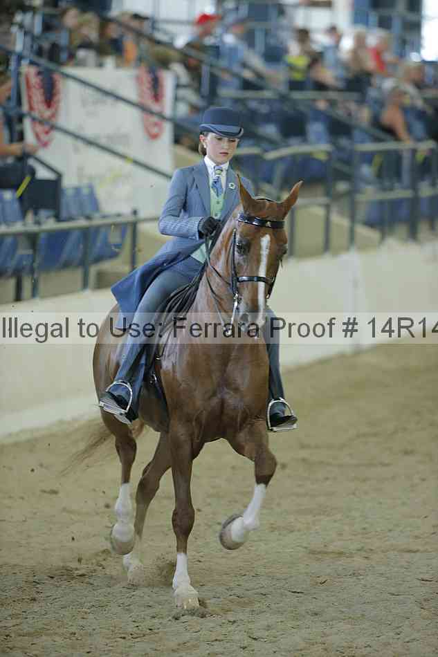 Proof Number 14r14_0915