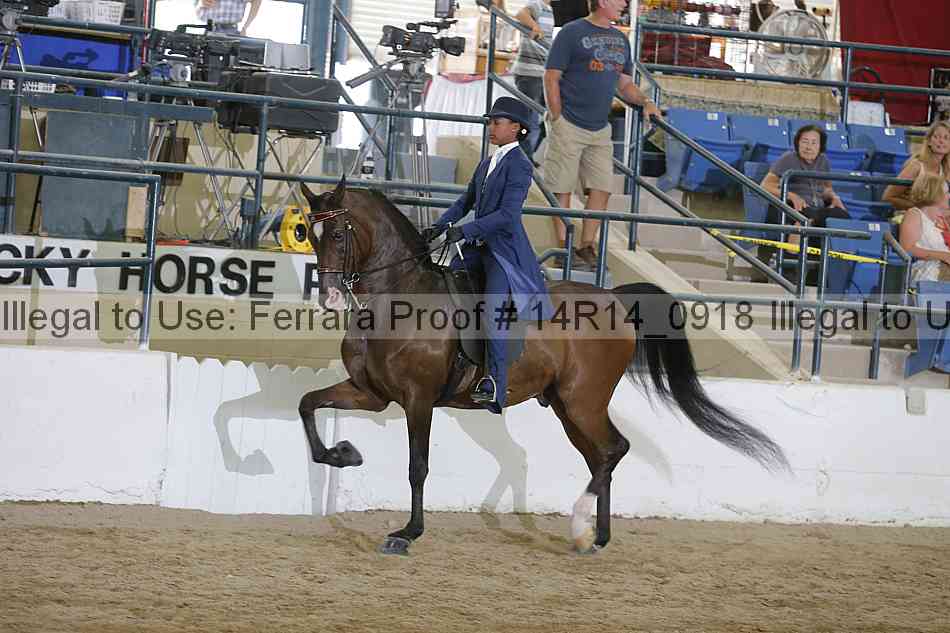 Proof Number 14r14_0918