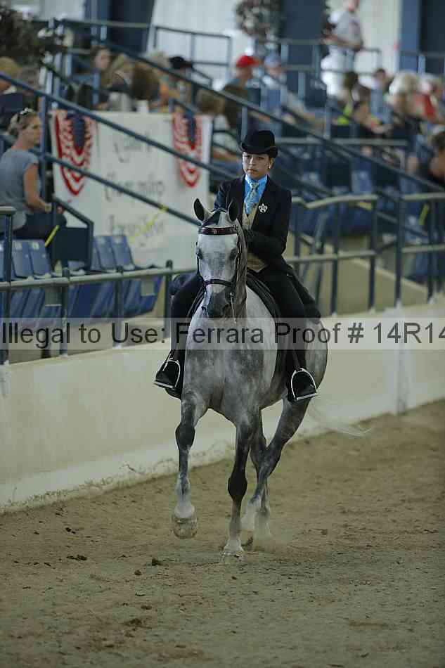 Proof Number 14r14_0920