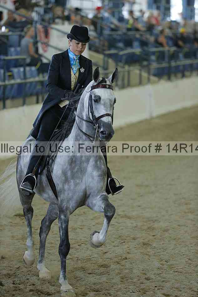 Proof Number 14r14_0922
