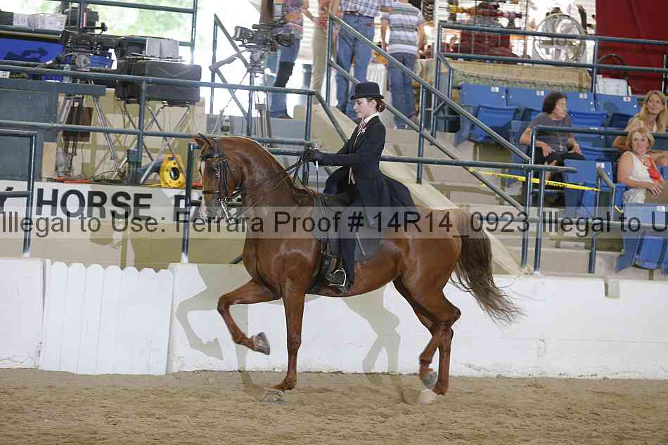 Proof Number 14r14_0923