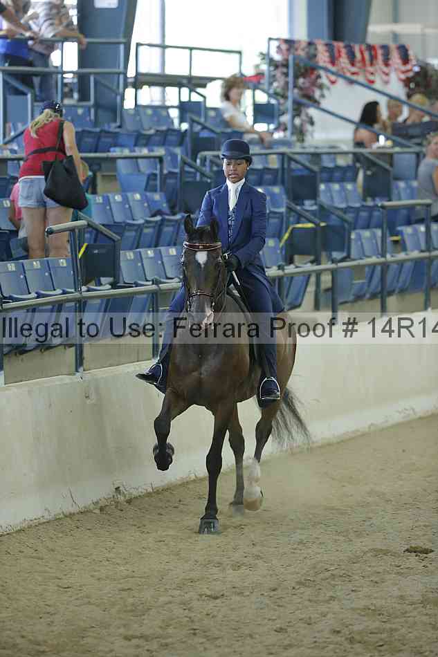 Proof Number 14r14_0927